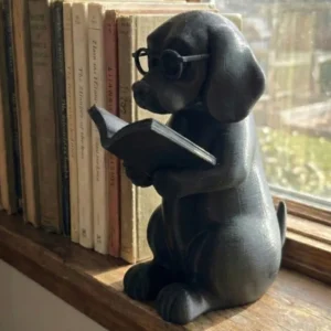 القارئ للديكور المكتبي والمنزلي