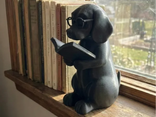 القارئ للديكور المكتبي والمنزلي